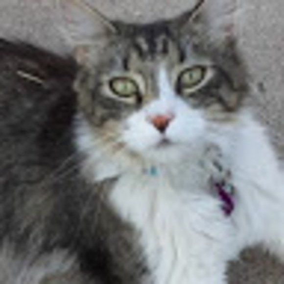 Meet your Posher, Autumn - Picture 1 of 3